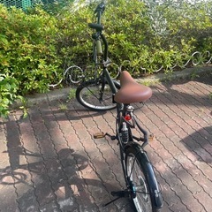 早い物勝ち自転車