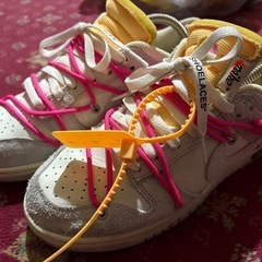Off-White × Nike Dunk Low "Sail/...