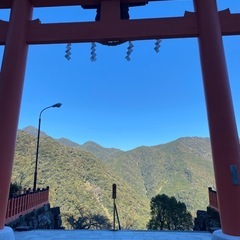 公園を散歩しませんか〜🚶