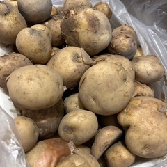 【取引終了】新鮮な土付きじゃがいも🥔男爵／1kg 200円(値下...