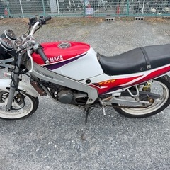 tzr125の画像
