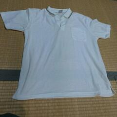 白のLサイズのポロシャツ