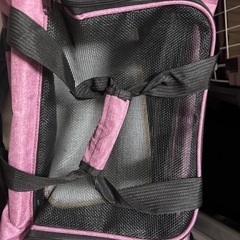 ペットキャリーバッグ　ソフト　折りたたみ式　②