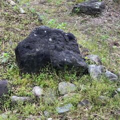 庭石、差し上げます