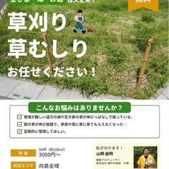 草刈り草むしり　やってます