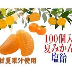 【期間限定】夏みかん&ソルト飴　業務用　100個　個包装　熱中症...