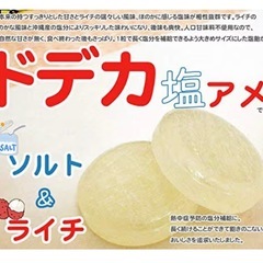 熱中症対策はこまめな水分と塩分補給を！ソルト＆ライチ アメ100...