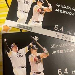 ソフトバンクホークス 全農なごみシート【ビュッフェ付き】