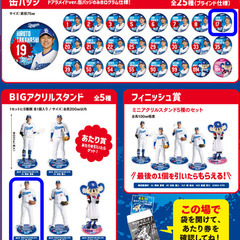 中日ドラゴンズ　柳裕也 BIGアクリルスタンド ＆ 缶バッジの画像