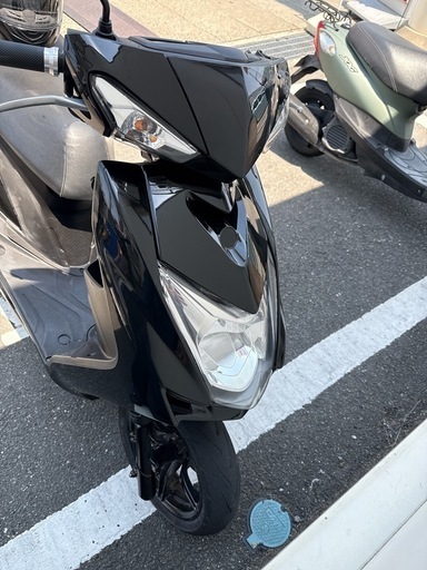 シグナス4型　sea5j 説明必読