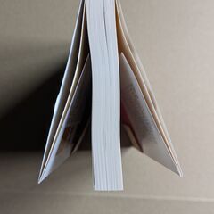 ニワトリは一度だけ飛べるの画像