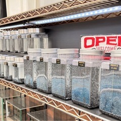 本日、6月4日（水）からメダカ販売開始いたします！ - 横浜市