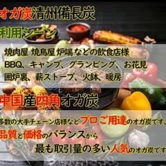 清州備長炭 オガ炭 10kg×2の画像