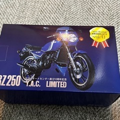 レッドバロン RZ250 Y.A.C. 1/12スケール 世界の...