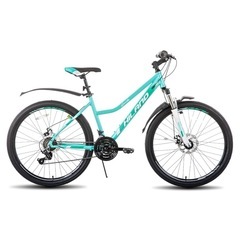 自転車　マウンテンバイク　備品4点付き　の画像