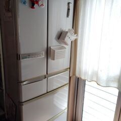 冷蔵庫綺麗です