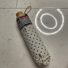 日傘の画像