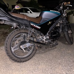 vtz250の画像