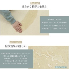 マイクロファイバー カーペット滑り止め付 ラグ 200×250cm 　　　　の画像