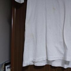 Ｔシャツ　①の画像