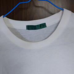 Ｔシャツ②の画像