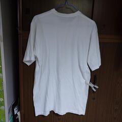 Ｔシャツ②の画像