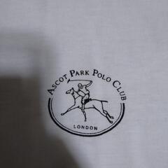 Ｔシャツ②の画像