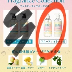 ボタニスト限定セット アイスピーチレモネードの香りの画像