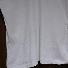 Ｔシャツ③の画像