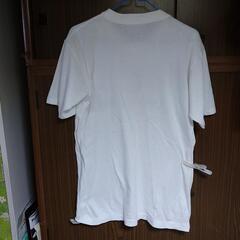 Ｔシャツ③の画像
