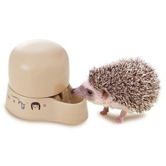 美品 動物 給水器 ペット 用品 ケージ ジャンガリアン ドワーフ ハムスター リス モルモット うさぎ 犬 猫 マウス ゴールデン キンクマ 小屋 給水機 水の画像