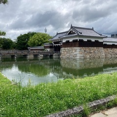 モデル募集