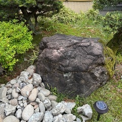 庭石 大きいサイズ 無料
