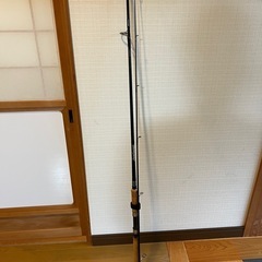 Daiwa釣竿