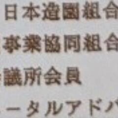 庭木　樹木　巨樹　竹　伐採見積もりたまわります!! - 地元のお店