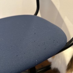 ニトリ　椅子　子供用の画像