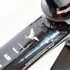 TERN ターン SURGE PRO 2019年モデル 20インチ ミニベロの画像