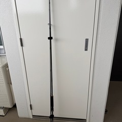 【決まりました】DAIWA シーバスロッド&リール&おまけセット