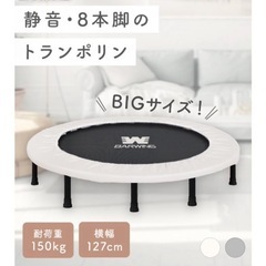 【引き渡し者決定】トランポリンの画像