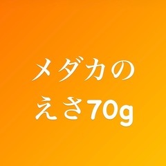 めだかの餌
