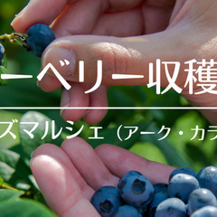 【6/7（土）】マルシェに畑がやってくる！ブルーベリー収穫…