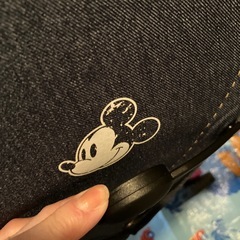 ミッキーバギーの画像