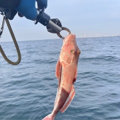 【東京湾・千葉】ミニボート・ゴムボート釣り仲間募集！初心者歓迎🎣カヤック/SUPもOK！ − 千葉県