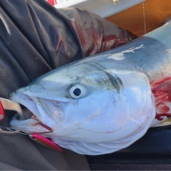 千葉県近郊で2馬力ボート・カヤック・サップでの釣りをするメンバーを募集