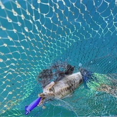 【東京湾・千葉】ミニボート・ゴムボート釣り仲間募集！初心者歓迎🎣カヤック/SUPもOK！ - 千葉市