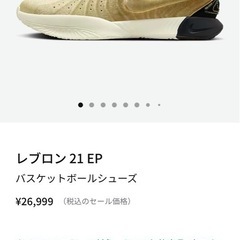 レブロンNIKE バスケットシューズ の画像