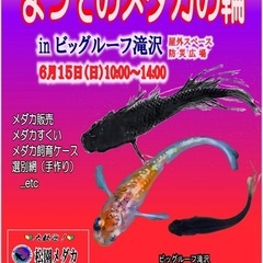 メダカ販売会　滝沢ビッグルーフ