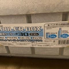【30ℓ大容量】クーラーBOXの画像