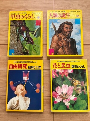 看護師 教科書 医学書院 36冊セット ☆バラ売り可☆の通販 by み