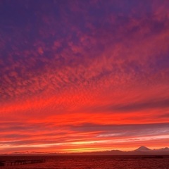 『海の美術館』海の家のお手伝い、大募集！　日払いアルバイト要面談。の画像